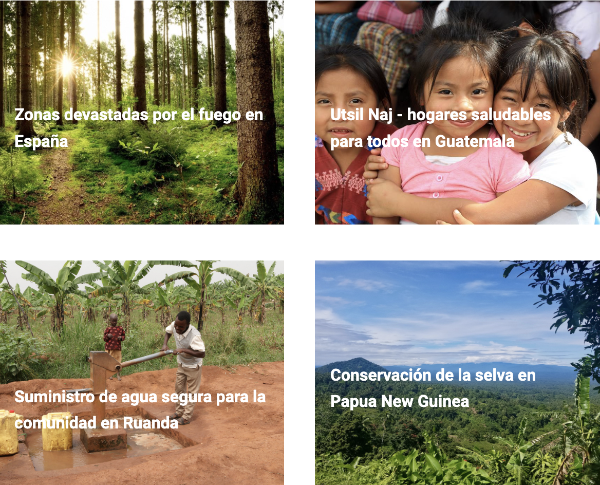 Colaboración en proyectos de impresión.eco